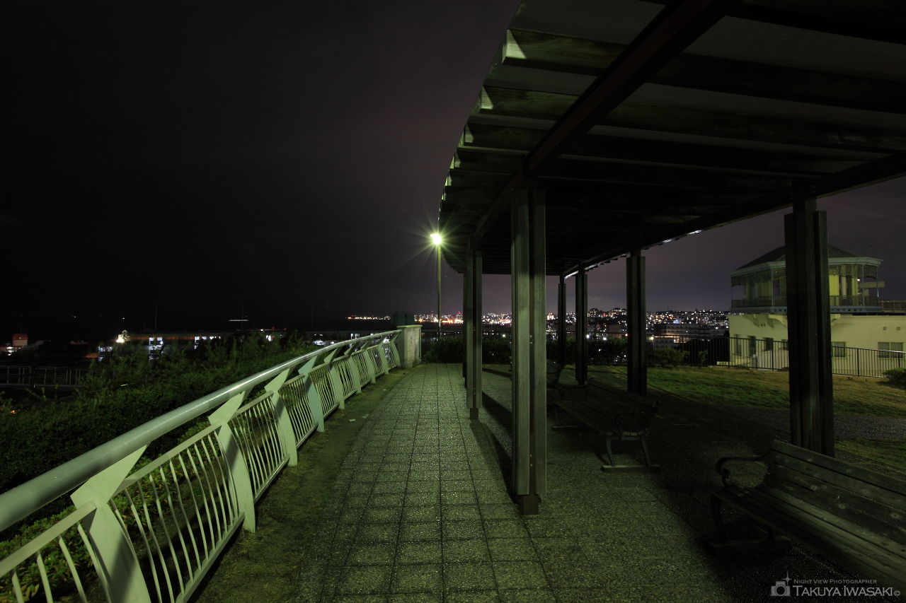 苔谷公園の夜景スポット写真（4）