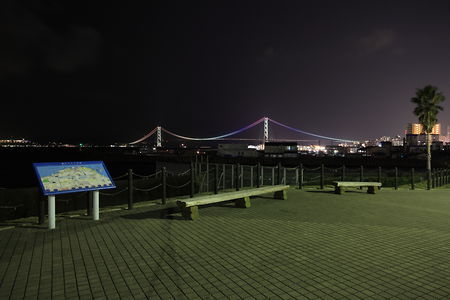 平磯緑地公園 恋人岬の夜景スポット写真（1）class=
