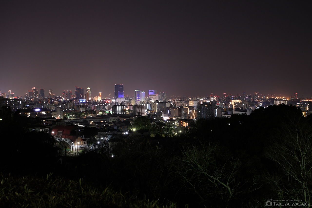 会下山公園の夜景スポット写真（1）