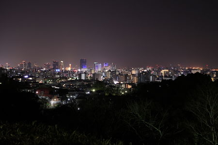 神戸市街地の夜景を望む