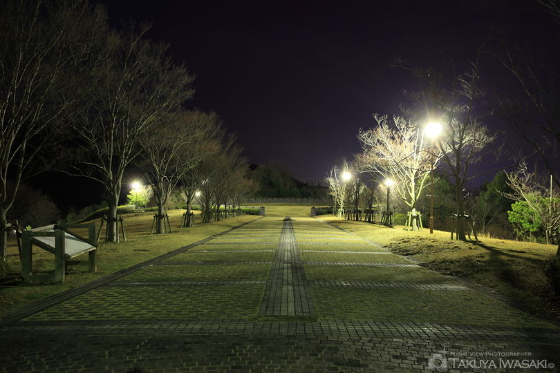 赤穂ピクニック公園の夜景スポット写真（5）