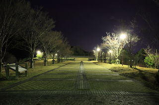 赤穂ピクニック公園の夜景スポット写真（5）class=