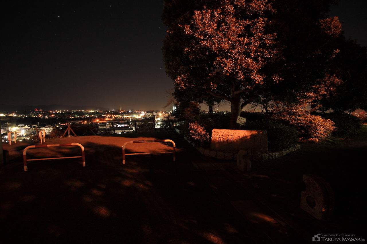 稲荷山公園の夜景スポット写真（3）