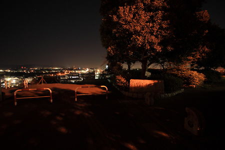 稲荷山公園の夜景スポット写真（3）class=