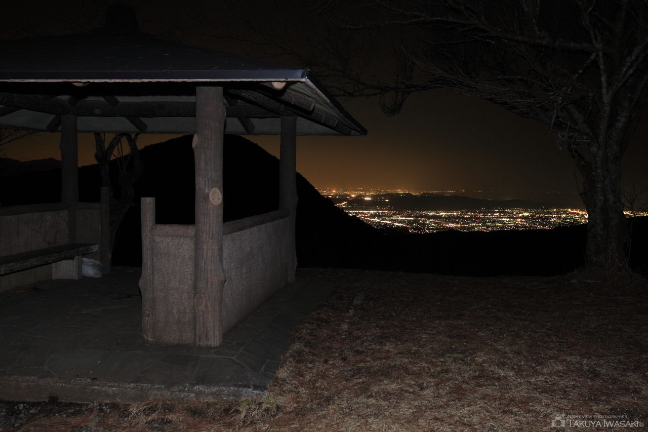 足柄万葉公園の夜景スポット写真（2）