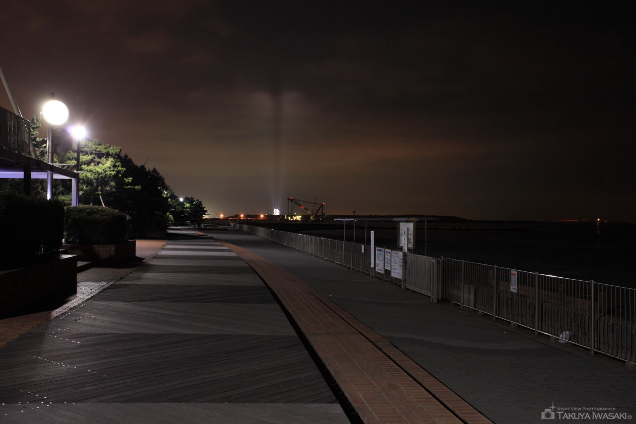 城南島海浜公園の夜景スポット写真（2）