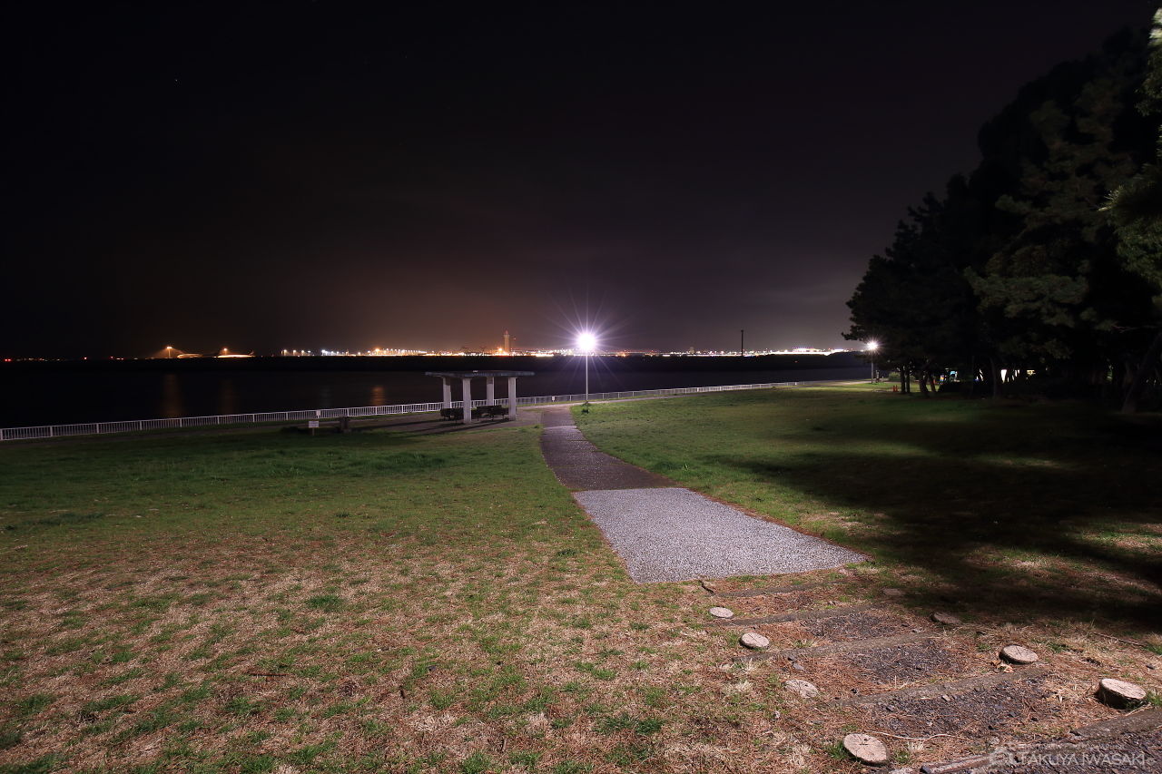 京浜島つばさ公園の夜景スポット写真（3）
