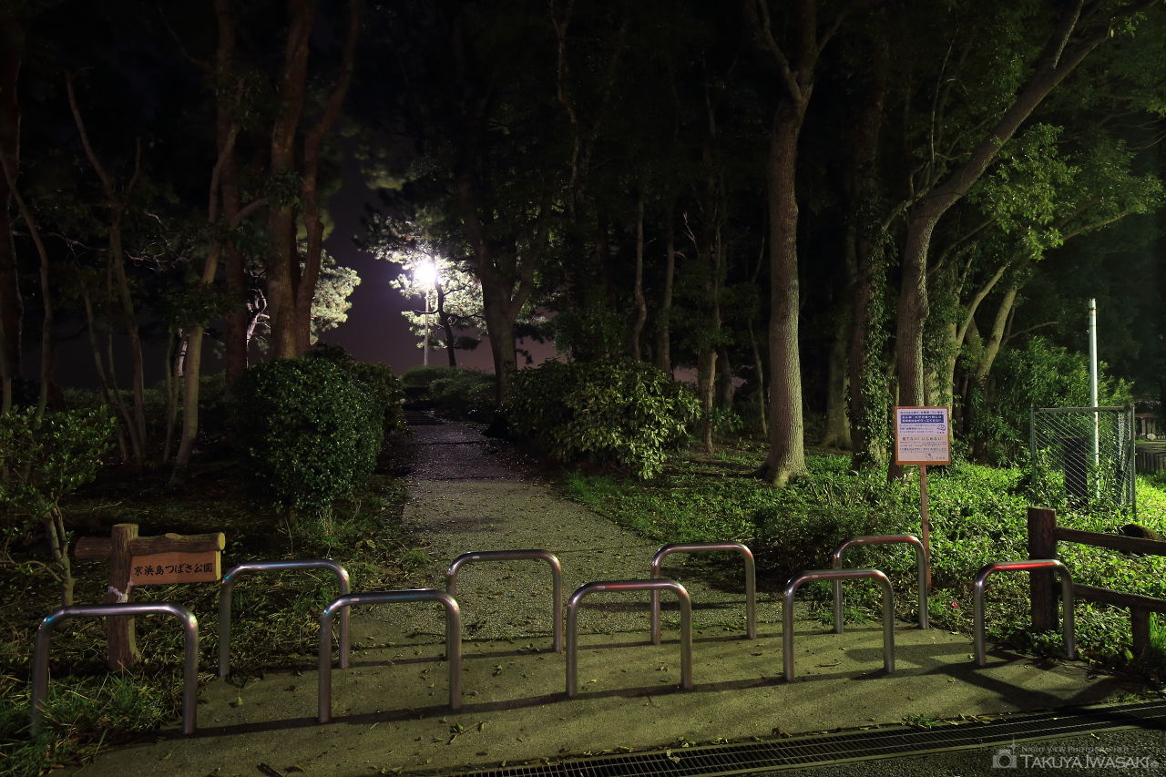 京浜島つばさ公園の夜景スポット写真（5）