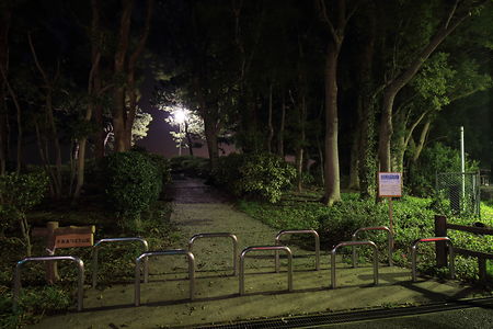 京浜島つばさ公園の夜景スポット写真（5）class=