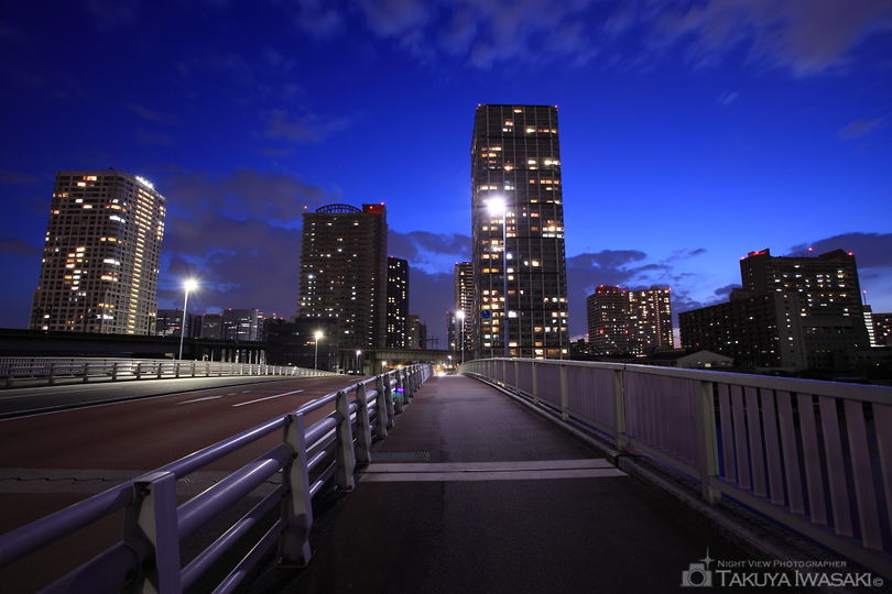 港南大橋の夜景スポット写真（4）