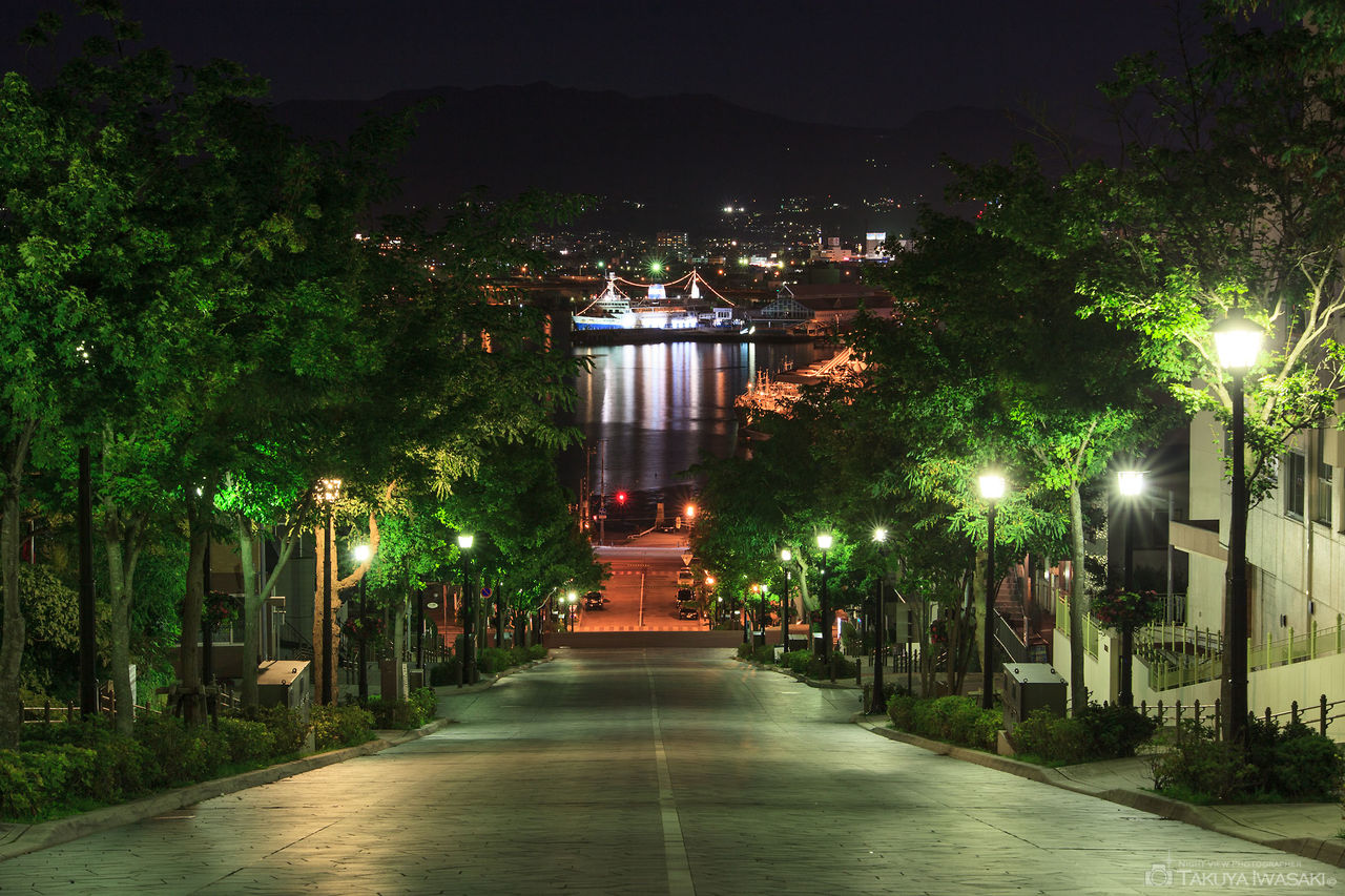 八幡坂の夜景スポット写真（2）