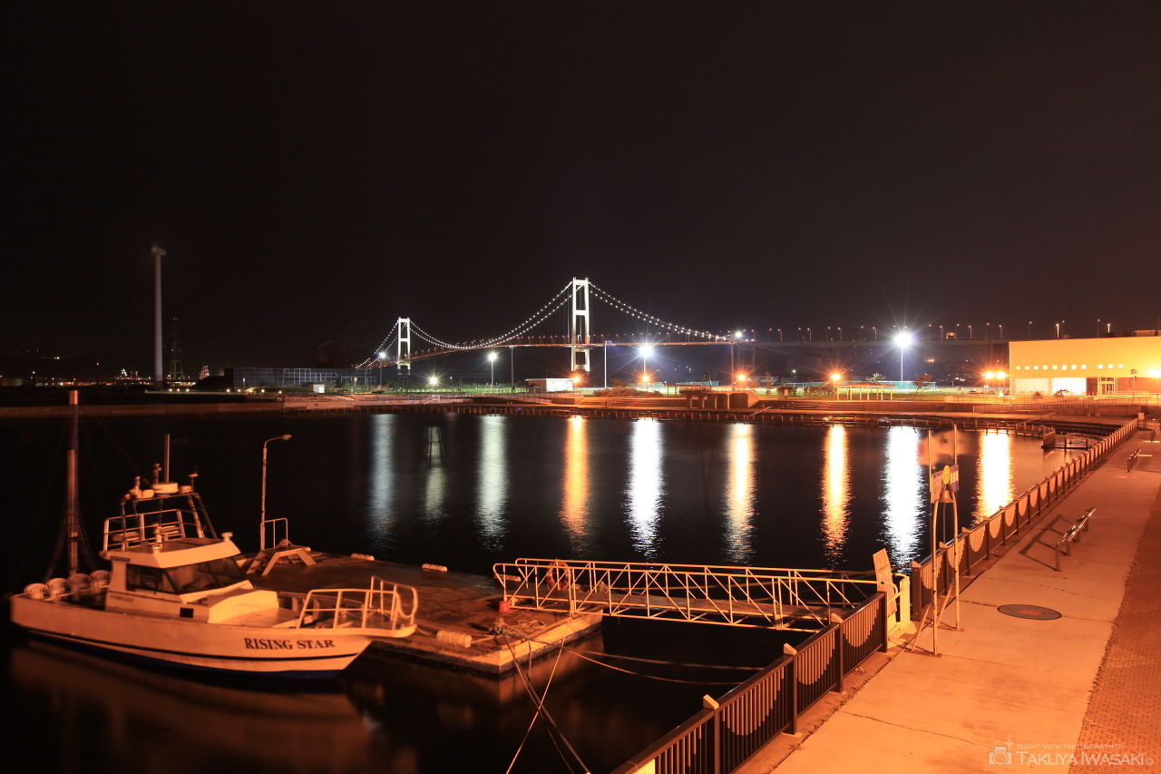 絵鞆臨海公園の夜景スポット写真（1）