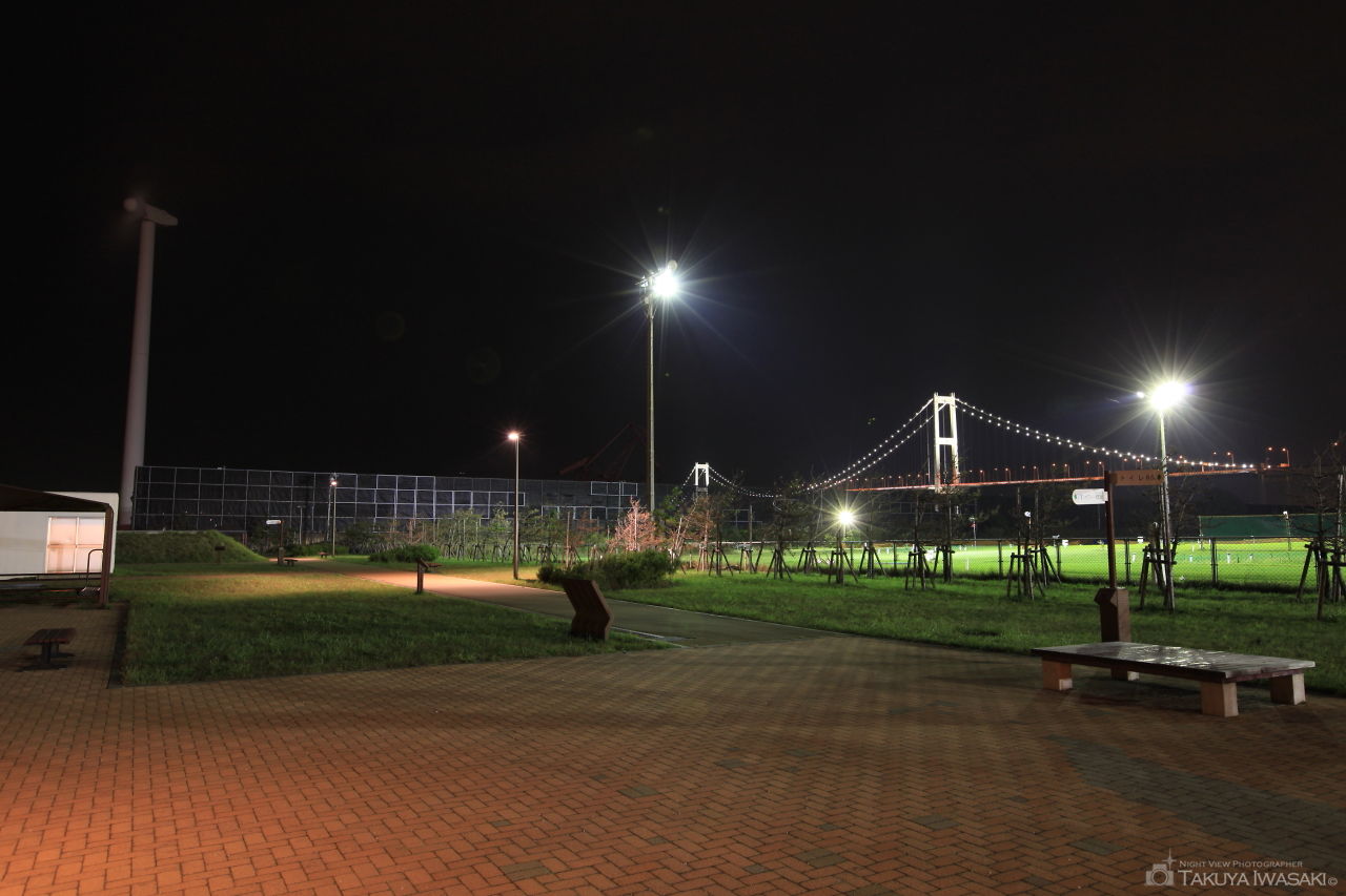 絵鞆臨海公園の夜景スポット写真（4）