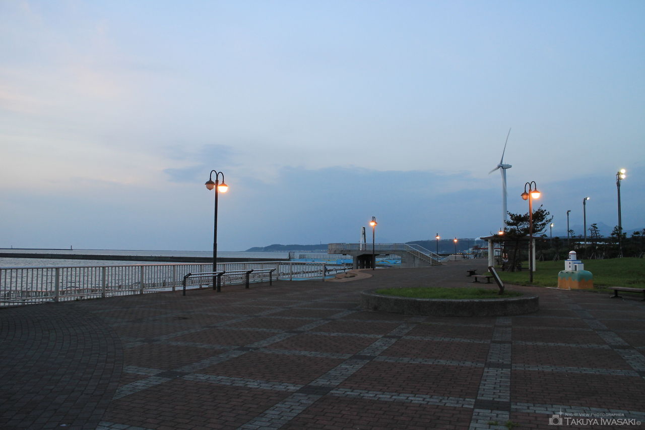 絵鞆臨海公園の夜景スポット写真（5）