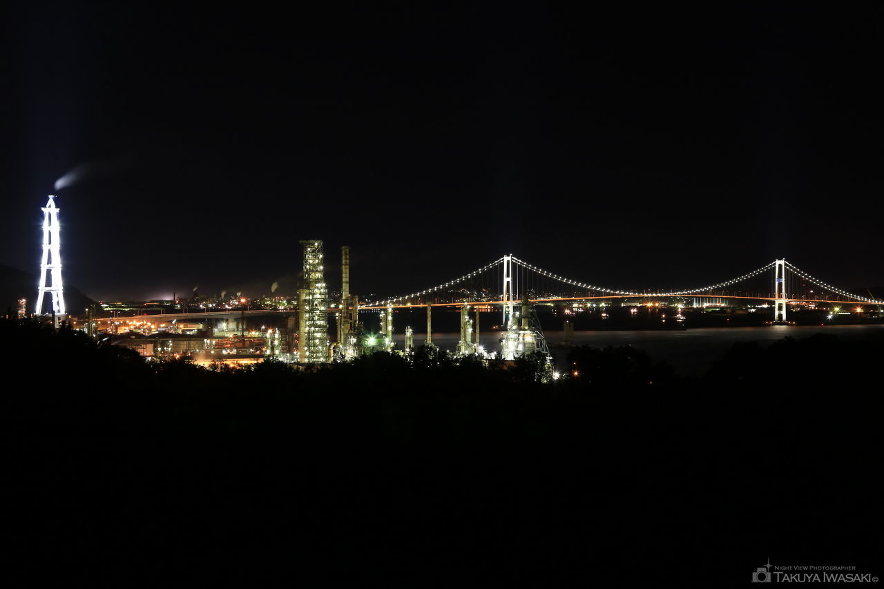白鳥湾展望台の夜景スポット写真（1）