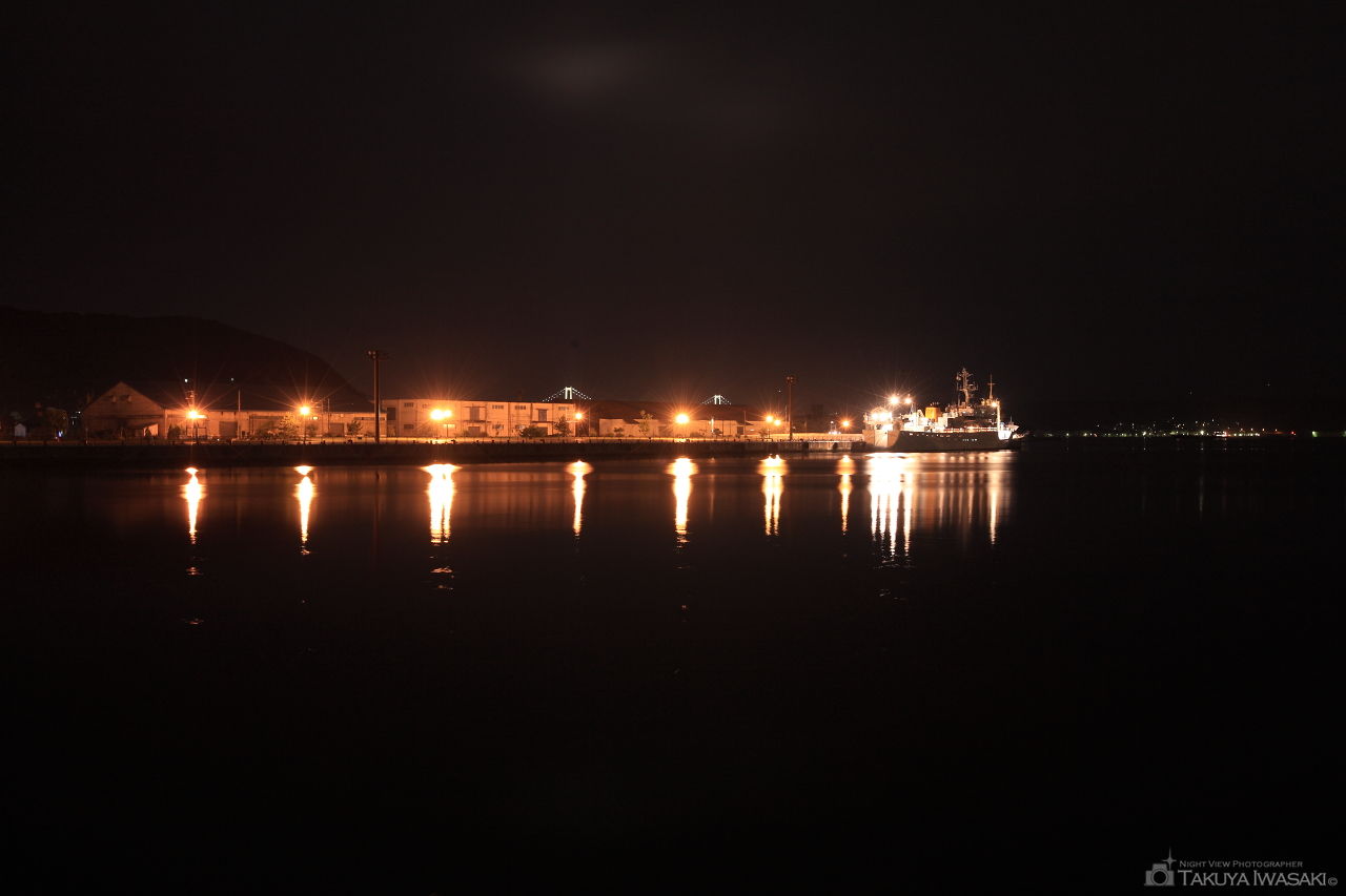 入江臨海公園の夜景スポット写真（1）
