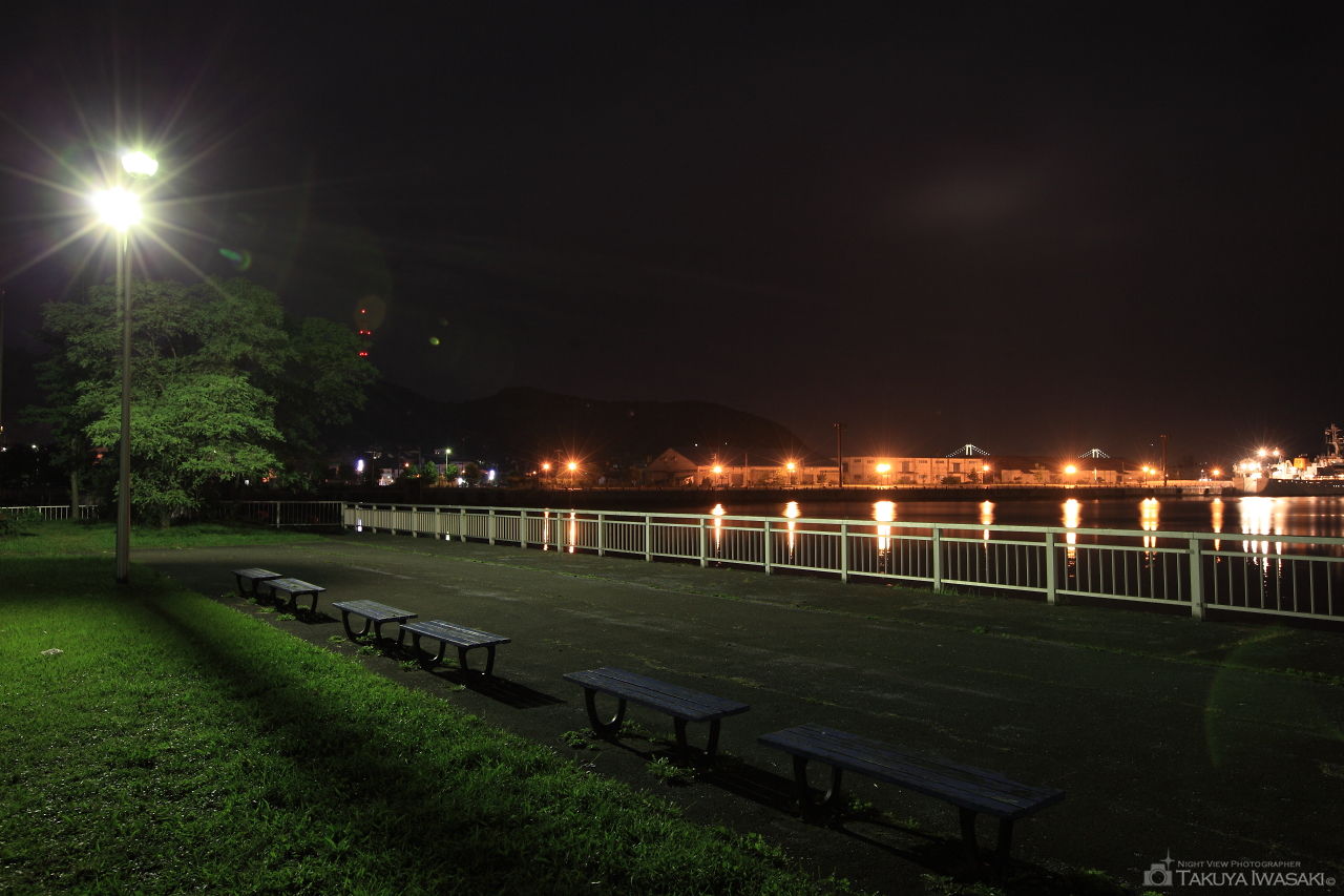 入江臨海公園の夜景スポット写真（3）