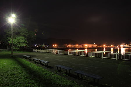 入江臨海公園の夜景スポット写真（3）class=