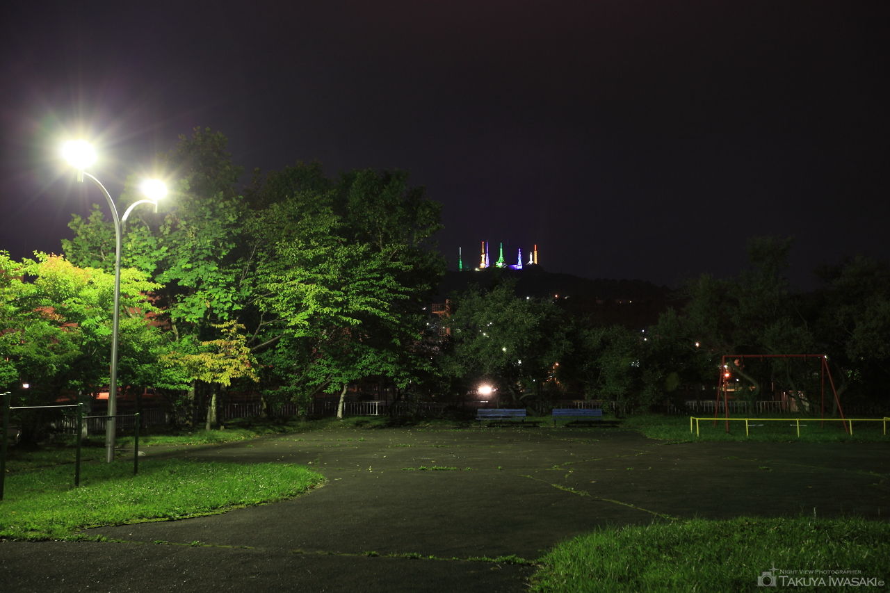 入江臨海公園の夜景スポット写真（4）