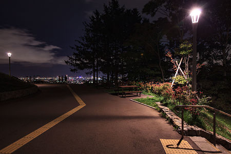 旭山記念公園の夜景スポット写真（5）class=