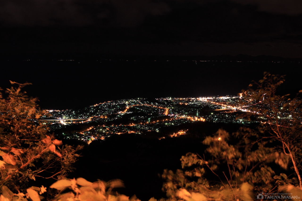 小樽市内の夜景を望む