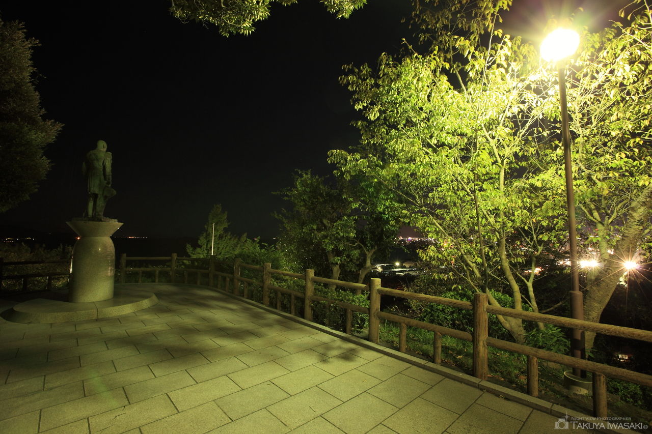 多賀山公園の夜景スポット写真（4）
