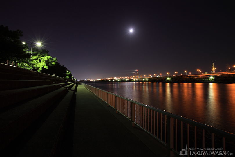 浜寺公園の夜景スポット写真（4）