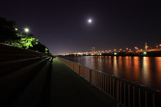 浜寺公園の夜景スポット写真（4）class=