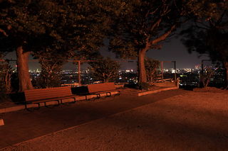 椎の木台公園の夜景スポット写真（3）class=