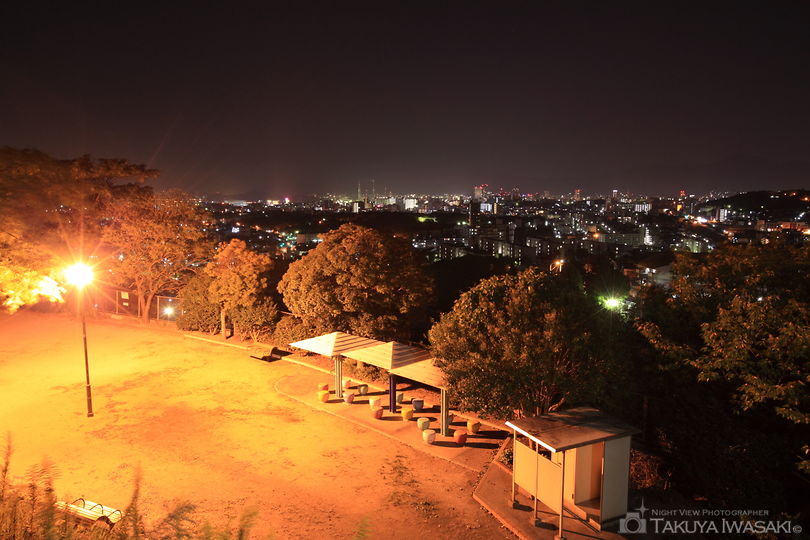 椎の木台公園の夜景スポット写真（4）