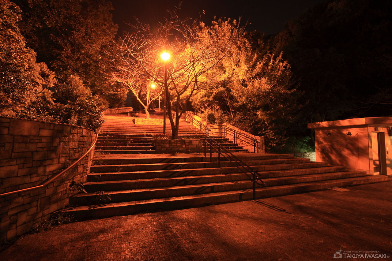 北九州市立中央公園の夜景スポット写真（4）