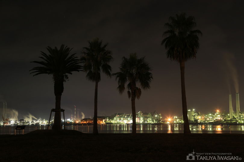 晴海親水公園の夜景スポット写真（4）