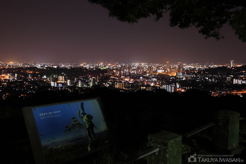 本妙寺公園の夜景スポット写真（2）