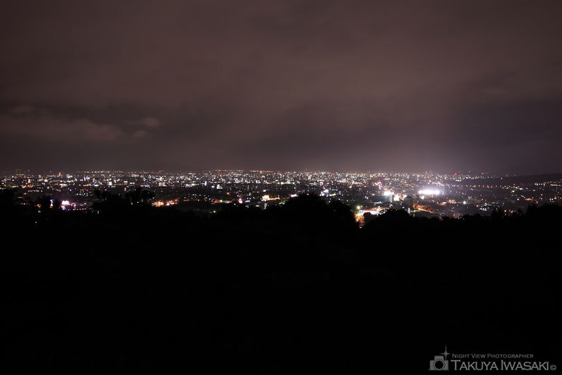 神園山の夜景スポット写真（2）
