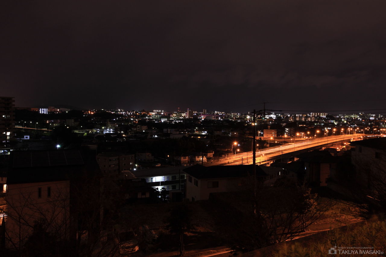 ビオトープ立田の杜 第2公園前の夜景スポット写真（1）