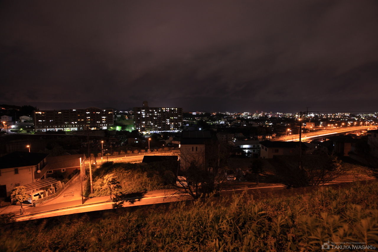 ビオトープ立田の杜 第2公園前の夜景スポット写真（3）