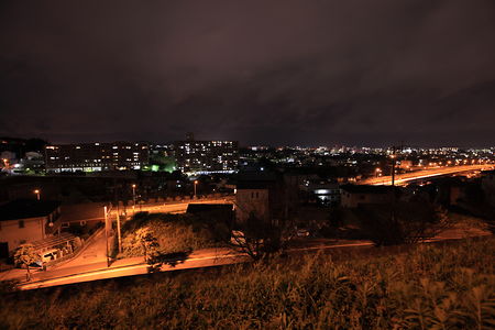 ビオトープ立田の杜 第2公園前の夜景スポット写真（3）class=