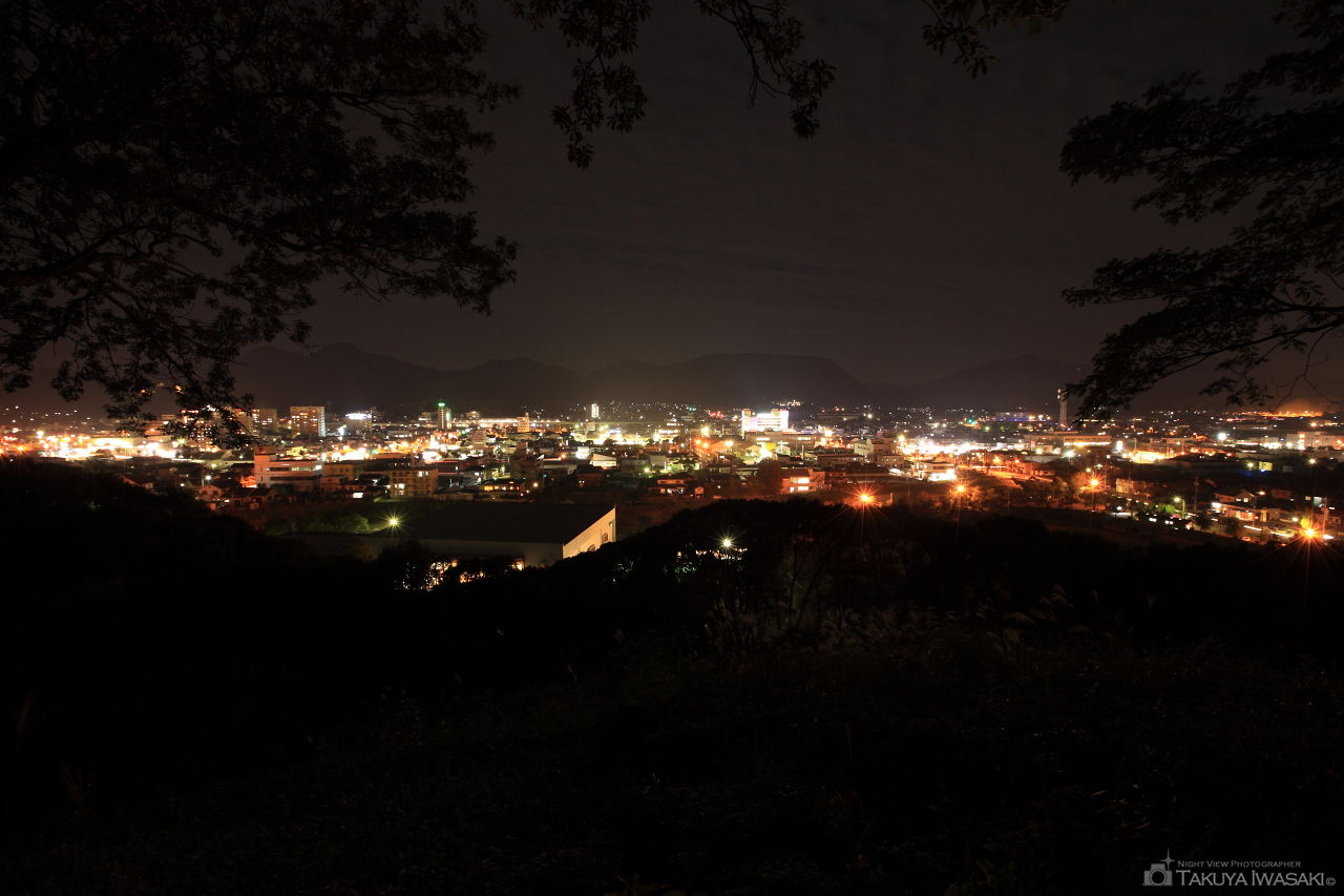 白岩運動公園の夜景スポット写真（1）