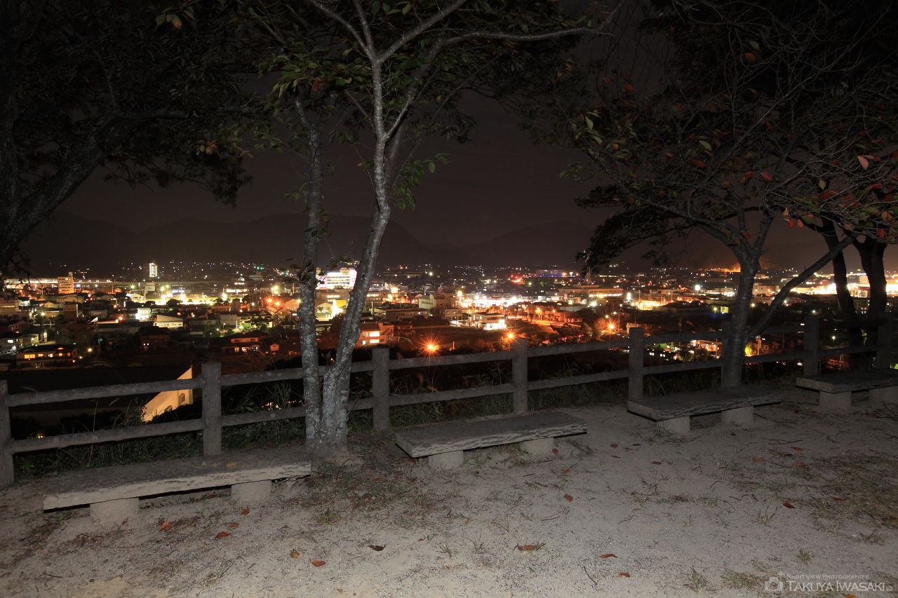 白岩運動公園の夜景スポット写真（3）