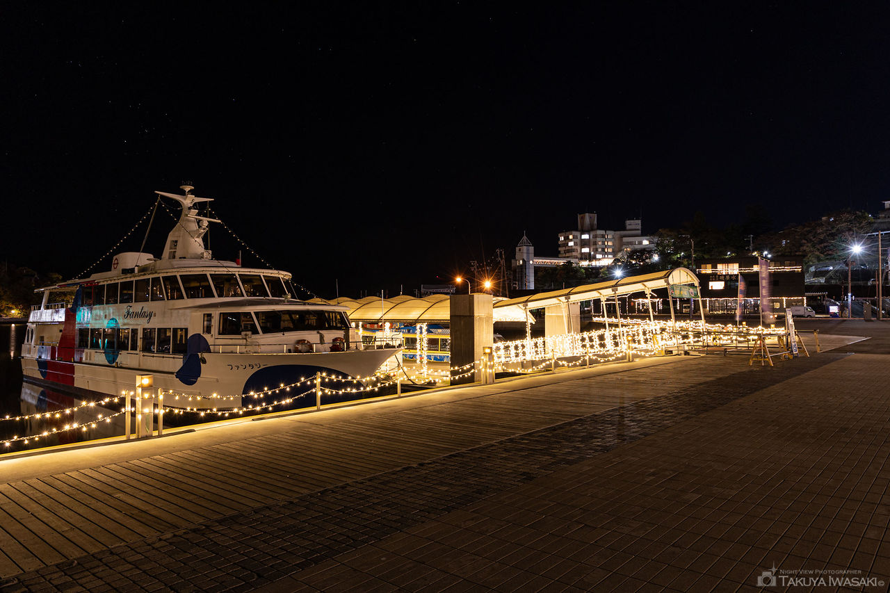気仙沼港の夜景スポット写真（5）