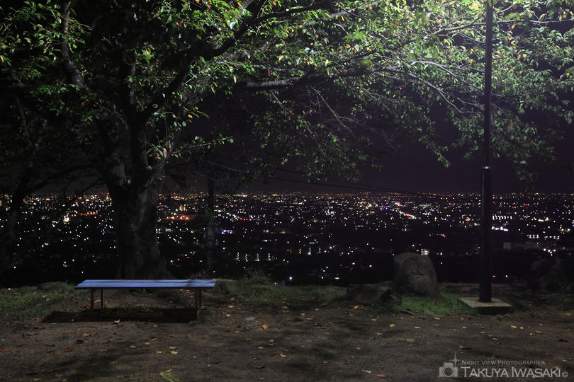 山宮桜公園の夜景スポット写真（3）