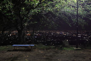 山宮桜公園の夜景スポット写真（3）class=
