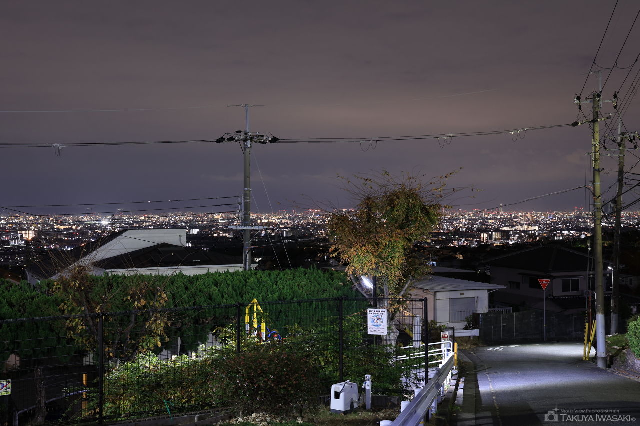 青葉台第一公園の夜景スポット写真（1）