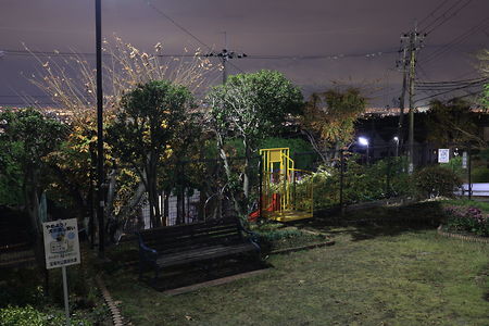 青葉台第一公園の夜景スポット写真（3）class=