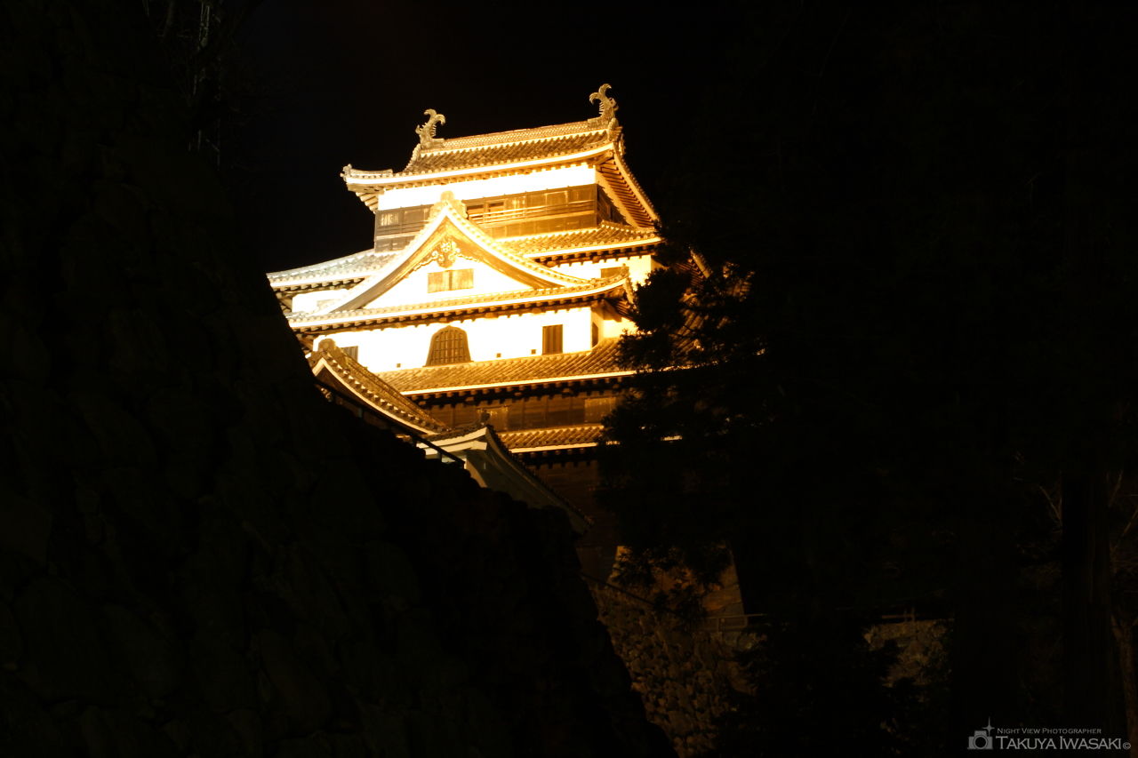 松江城山公園の夜景スポット写真（1）