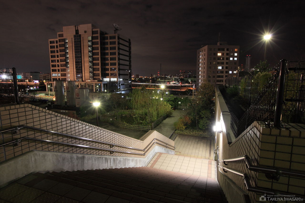 東品川海上公園 屋上庭園の夜景スポット写真（3）