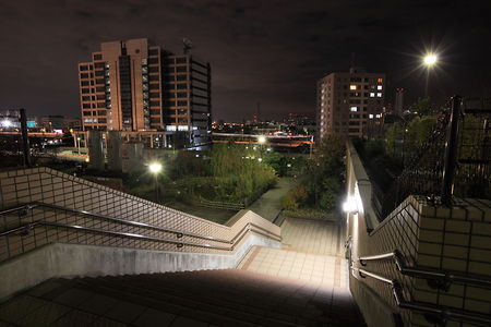 屋上庭園の階段から見える夜景
