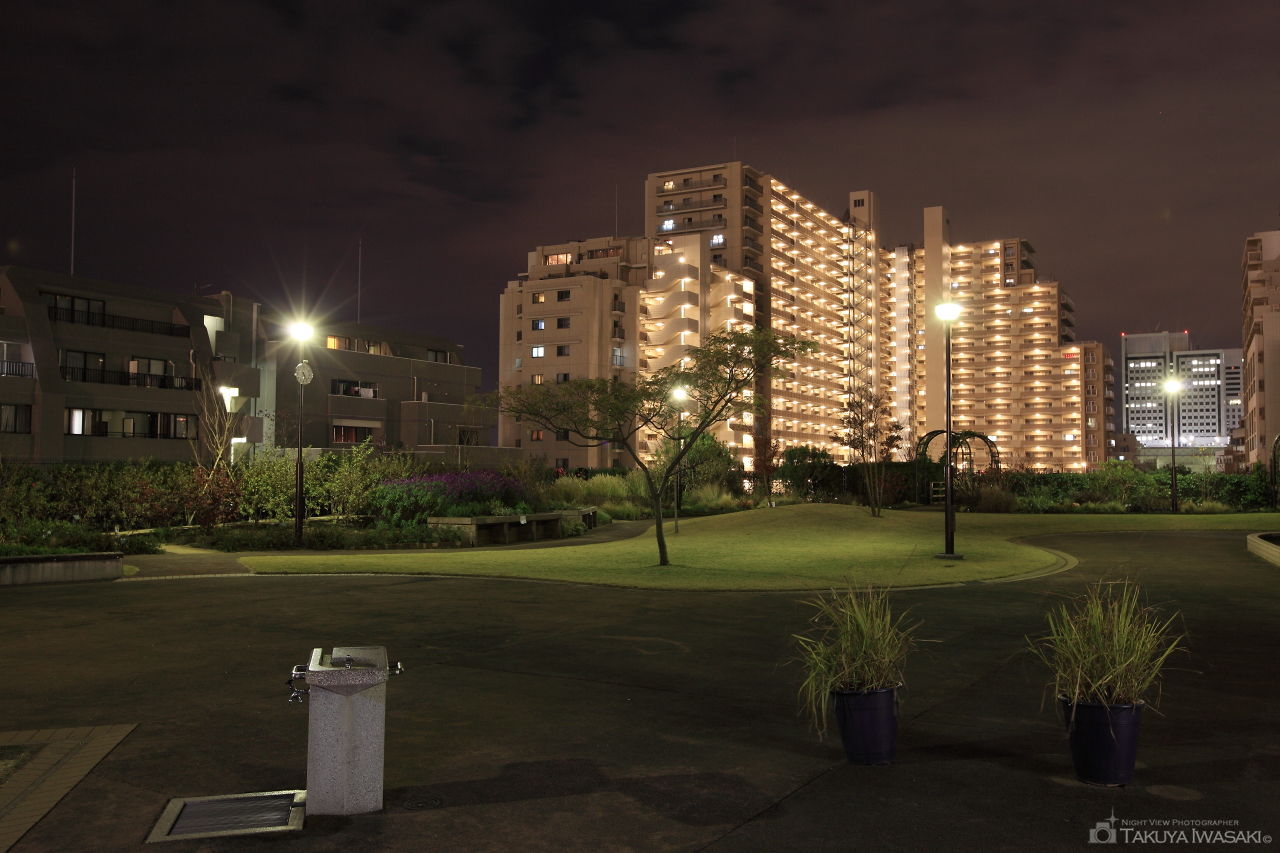 東品川海上公園 屋上庭園の夜景スポット写真（4）