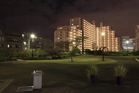 東品川海上公園 屋上庭園の夜景スポット写真（4）class=