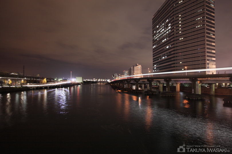 品川埠頭橋の夜景スポット写真（1）